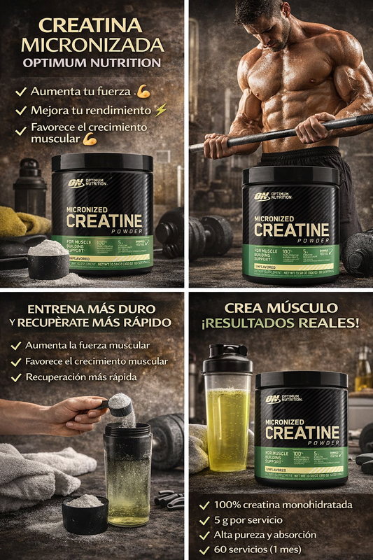 🏋️♂️ Creatina Micronizada Optimum Nutrition – Rendimiento y Fuerza Máxima. ENVÍO GRATIS